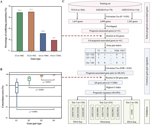 Development and validation of a stable prognostic signature. (A) Percentage of conflicting annotations for G1, G2, G3 and G4 genes. (B) Boxplots of the concordance score for Q1, Q2, Q3 and Q4 gene pairs. (C) Flowchart for developing and validating a stable prognostic signature for stage I LUAD.