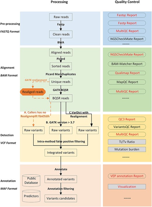 Detailed overview of the NGS data analysis pipeline with quality control. Analysis of cancer genome sequencing data of WGS/WES/Target consists of four steps: (i) raw data processing (shown in blue); (ii) alignment data processing (shown in green); (iii) short variants (SNVs/indels) calling and false-positive filtering (shown in yellow); and (iv) variant annotation and visualisation (shown in orange). Quality control (QC) for each step is listed on the right in a darker colour. Red font is used to emphasise the importance of QC reports. There are two alternative routes after unique reads have been generated. The steps denoted by orange dashed lines indicate that realignment is required when the variant caller has no realignment function. Realignment should not be conducted when choosing a variant caller with realignment function, such as VarDict or GATK version 3.7 or higher. Sample matching checks (orange arrows) can be conducted using NGSCheckMate in ‘Raw data processing’, with BAM-Matcher or NGSCheckMate in ‘Aligned data processing’, and with NGSCheckMate until ‘Variant data processing’. However, this step is only required once, and we recommend that it is conducted during ‘Aligned data processing’.