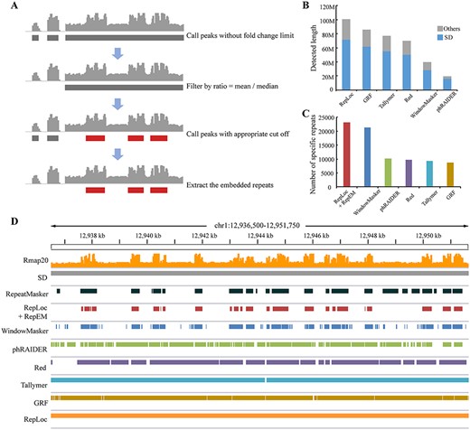 (A) The procedures to identify RERs and extract the ERs. (B) The repeat content detected by four tools in the RERs of the human genome. The SD regions detected are shown in blue and others in gray. (C) The SPNUM detected by RepLoc (incorporating RepEM) and other tools. (D) An example to show the repeats detected in chr1: 12 936 500–12 951 750. The RepEM program improves the detection specificity of RepLoc compared with other tools.