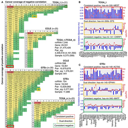 A summary of significant miRNA–gene correlations in TCGA, CCLE and GTEx. (A) Number of significantly positive and negative miRNA–gene correlations grouped by cancer coverage. In CCLE and GTEx, only miRNAs and genes overlapped with those of TCGA were included. Sample numbers refer to the overlap of samples with miRNA and gene expression data. (B and C) Representative top-ranked positive, negative and dual correlations for TCGA (B) and GTEx (C) are shown across cancer/tissue types. Spearman correlation coefficient is depicted by blue bar and P-value by red solid circle.