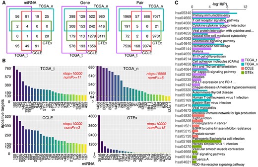 Comparison of miRNAs and genes from top-ranked correlations and their biological significance in TCGA, CCLE and GTEx. (A) Venn diagram showing the overlap between different datasets for miRNAs, genes and pairs as indicated for the top 10 000 positive pairs from four datasets. (B) Top miRNAs ranked by the number of its positively correlated genes counted from the top 10 000 positive pairs in different datasets. numP refers to cancer coverage of the positive pair. (C) KEGG signalling pathway enrichment profiles for the top 200 genes in different datasets. With cutoff P-value <0.05, top 16 pathways for TCGA_t and TCGA_n and top 5 pathways for CCLE and GTEx are shown. See also Figure S2 and Table S3.