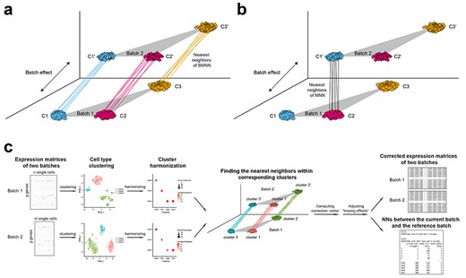 Overview of SMNN. Schematics for detecting MNNs between two batches under a non-orthogonal scenario (a) in SMNN and (b) in MNN. (c) Workflow of SMNN. Single cell clustering is first performed within each batch using Seurat v3; and then SMNN takes user-specified marker gene information for each cell type to match clusters/cell types across batches. With the clustering and cluster-specific marker gene information, SMNN searches MNNs within each cell type and performs batch effect correction accordingly.