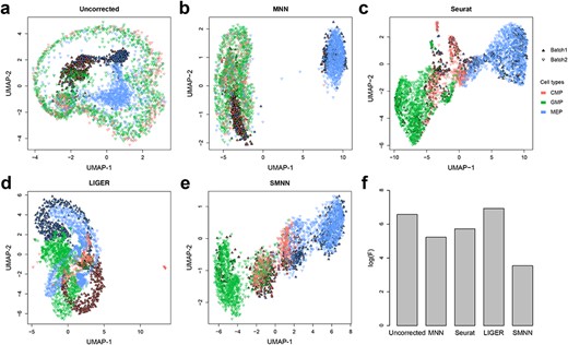 Performance comparison between SMNN and MNN in two hematopoietic datasets. (a) UMAP plots for two hematopoietic datasets before batch effect correction. Solid and inverted triangle represent the first and second batch, respectively; and different cell types are shown in different colors. (b–e) UMAP plots for the two hematopoietic datasets after correction with MNN, Seurat v3, LIGER and SMNN. (f) Logarithms of F-statistics for merged data of the two batches.