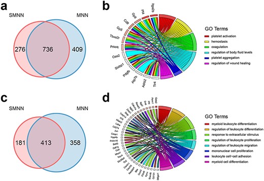 Comparison of DEGs, identified in the merged dataset by pooling batch 1 data with batch 2 data after SMNN and MNN correction. (a) Overlap of DEGs up-regulated in CMP over GMP after SMNN and MNN correction. (b) Feature-enriched GO terms and the corresponding DEGs up-regulated in CMP over GMP. (c) Overlap of DEGs up-regulated in CMP over MEP after SMNN and MNN correction. (d) Feature-enriched GO terms and the corresponding DEGs up-regulated in CMP over MEP.