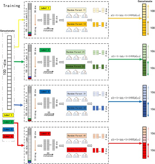 (A) Illustration of multi-grained scanning in training. Suppose there are four labels, raw features are 100-dim, and sliding window is 50-dim in the training of the first label. (B) Illustration of multi-grained scanning in predicting. Suppose there are four labels, raw features are 100-dim, and sliding window is 50-dim in the predicting of the first label.