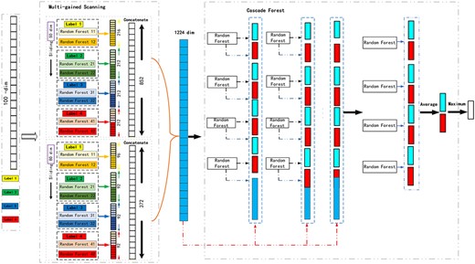 Overall procedure of MLCDForest. Suppose there are two classes, raw features are 100-dim, and sliding windows are 50-dim and 80-dim.