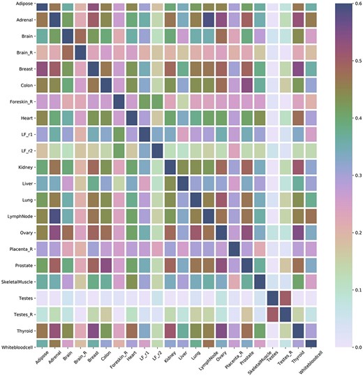 (A) Heat map of the correlation between tissues. (B) Concurrence to tissues based on SCUMBLE.