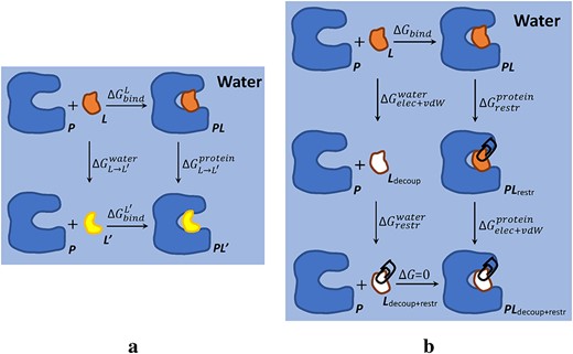 Thermodynamic cycles of calculating protein–ligand binding free energy in FEP methods. (A) Calculating the relative binding free energy of two ligands ($L$ and $L^{\prime}$) binding to a protein ($P$) in water. (B) Calculating the absolute binding free energy between a ligand $L$ and a protein $P$ in water.