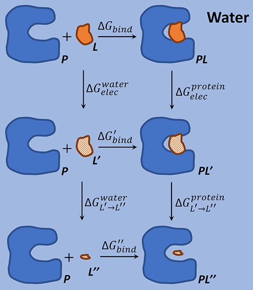 Thermodynamic cycle of calculating protein–ligand binding free energy in LRA method.