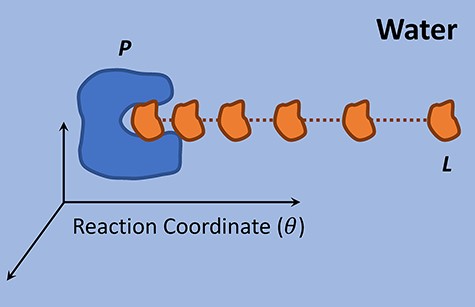 Pulling of a ligand from its protein active site along the reaction coordinate.