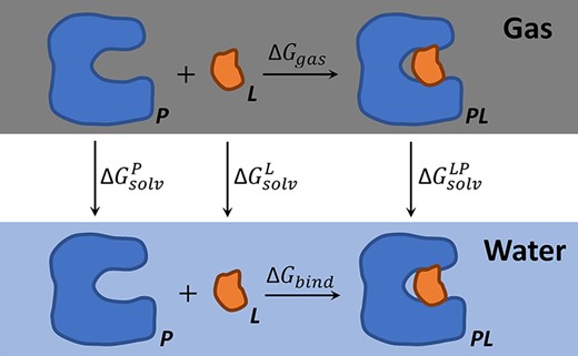 Thermodynamic cycle of MM-PB/SA calculations.