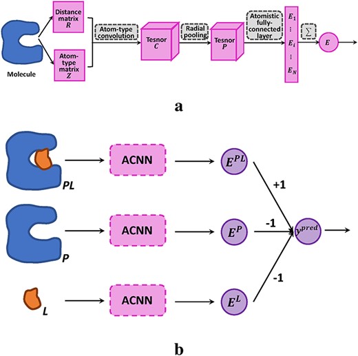 The architecture of ACNNs and the application to protein–ligand ($P-L$) affinity prediction. (A) ACNN architecture. (B) Combining ACNNs with a thermodynamic cycle for affinity prediction.
