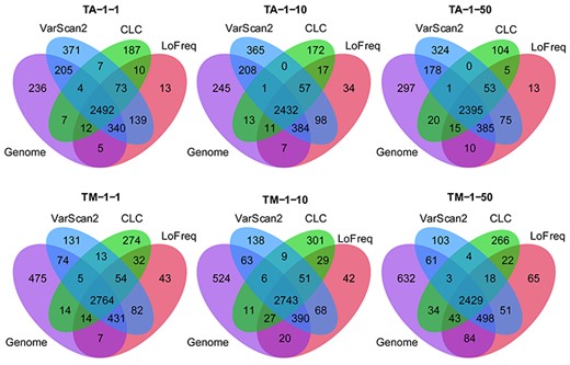 Intersection of SNPs between genomes and SNP calls from LoFreq, VarScan and CLC with score ≥20.