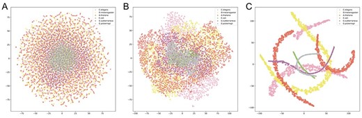 t-SNE plots of input encoding (A), feature representation after the attention layer (B) and feature representation of the second fully connected layer (C) for the base models using positive samples of six different species.