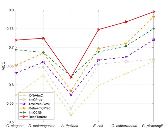 Species-specific performance comparison of DeepTorrent and other predictors in terms of MCC values on the existing datasets of six species.