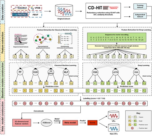 An overview of the ML- and DL-based hybrid framework of DeepVF for predicting VFs in bacterial pathogens. Schematic displaying the four stages in construction of DeepVF.