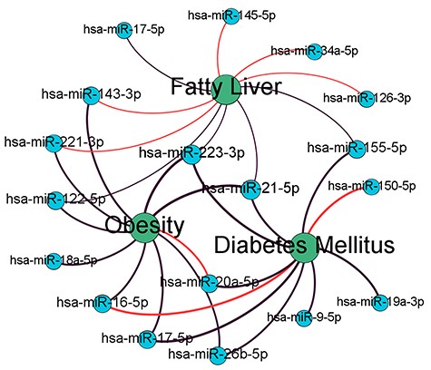 Top-10 prediction networks for obesity, diabetes mellitus and fatty liver. Black links mean known microRNA-disease associations existing in training data set while red links mean the predicted associations. Different line widths demonstrate the relation of predicted values.
