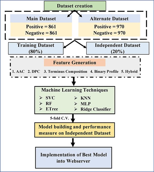 Flowchart shows steps involved in developing AntiCP 2.0.