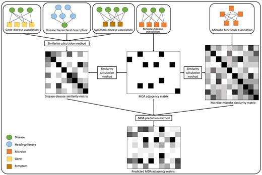 A typical working pattern of computational MDA prediction methods.