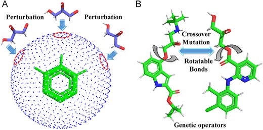 Perturbation search and the operators of genetic algorithm. (A) Perturbation search on the sphere grids around the anchored fragment. (B) Crossover and mutation operators between two ligands.