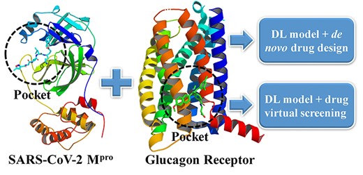 Designing 3D ligands of GCGR and SARS-CoV-2 Mpro via the MolAICal modules which involve deep learning model, de novo drug design and drug virtual screening.