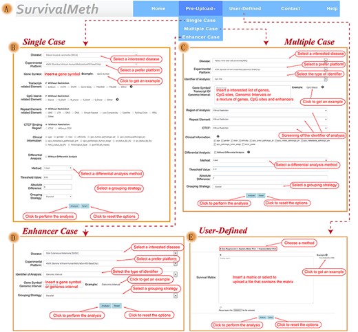 The functional interface of SurvivalMeth. (A) Navigation bar of SurvivalMeth including two main modules (‘Pre-Upload’ and ‘User-Defined’). (B) Input interface of ‘Single Case’ section. (C) Input interface of ‘Multiple Case’ section. (D) Input interface of ‘Enhancer Case’ section. (E) Input interface of ‘User-Defined’ module.