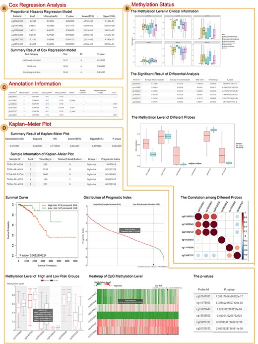 The result interface of Single Case. (A) The result of Cox regression analysis, including proportional hazards regression model and summary result of the model. (B) The result of differential analysis, including significant sites, unsignificant sites, boxplot of methylation status and correlation figure among different sites. (C) The annotation of CpG sites from HM450K. (D) The result of Kaplan–Meier plot, including summary result (log-rank test) and survival curve, visualization and table of patients’ risk score, box figure of methylation level and P-value between high- and low-risk groups and heatmap of methylation level.