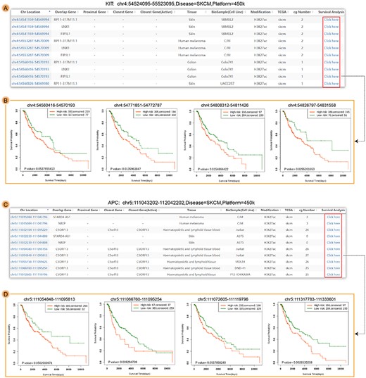 The results of Enhancer Case. (A) The searched result interface of Enhancer Case for KIT. (B) The survival results of four enhancer regions (chr4:54560416-54570193, chr4:54771851-54772787, chr4:54808312-54811426 and chr4:54826797-54831558). (C) The searched result interface of Enhancer Case for APC. (D) The survival results of four enhancer regions (chr5:111054848-111095813, chr5:111066760-111095254, chr5:111072605-111119796 and chr5:111317783-111333601). Each row of A and D included one enhancer and corresponding annotation information, and users could choose any row with CpG sites to perform survival analysis.