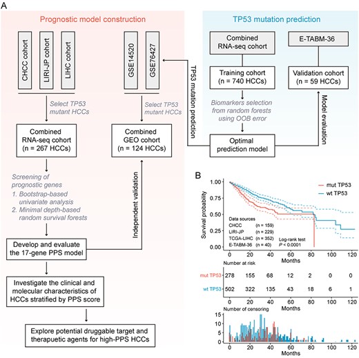 Design overview. (A) Schematic diagram of the study design. (B) Kaplan–Meier curves for OS of 780 HCC patients demonstrate that TP53-mutant patients have statistically significantly worse prognosis than TP53 wild-type patients (log-rank test, P < 0.00001).