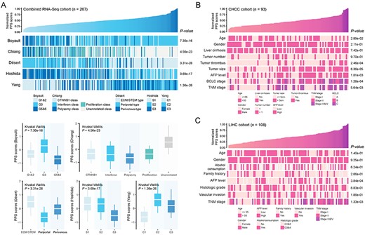 Correlation between PPS and HCC molecular and clinical characteristics. (A) An overview of the association between PPS and HCC molecular subclasses (upper) and boxplots of PPS scores stratified by different subclasses (lower) (see also Table S8 available online at https://dbpia.nl.go.kr/bib). (B) An overview of the association between PPS and HCC clinical characteristics in CHCC cohort. (C) An overview of the association between PPS and HCC clinical characteristics in LIHC cohort. The statistical significance of difference was determined using Kruskal–Wallils test.