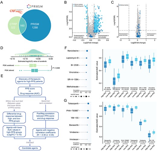Identification of candidate agents with higher drug sensitivity in high-PPS score patients. (A) A venn diagram for summarizing included compounds from CTRP and PRISM datasets (see also Table S12 available online at https://dbpia.nl.go.kr/bib). (B) Volcano plot of differential expression between bulk HCC samples and hepatoma cell lines (Wilcoxon rank-sum test: adjust P < 0.05, and log2FC > 1). Stroma markers are highlighted in deep colour (see also Table S13 available online at https://dbpia.nl.go.kr/bib). (C) Volcano plot of differential expression between purified HCC samples and hepatoma cell lines (Wilcoxon rank-sum test: adjust P < 0.05, and log2FC > 1). Stroma markers are highlighted in deep color (see also Table S13 available online at https://dbpia.nl.go.kr/bib). (D) Comparison of estimated sorafenib’s sensitivity (logAUC) between PI3K-MTOR altered and unaltered groups. (E) Schematic outlining the strategy to identify agents with higher drug sensitivity in high PPS score patients. (F) The results of Spearman’s correlation analysis and differential drug response analysis of six CTRP-derived compounds. (G) The results of Spearman’s correlation analysis and differential drug response analysis of six PRISM-derived compounds. Note that lower values on the y-axis of boxplots imply greater drug sensitivity.