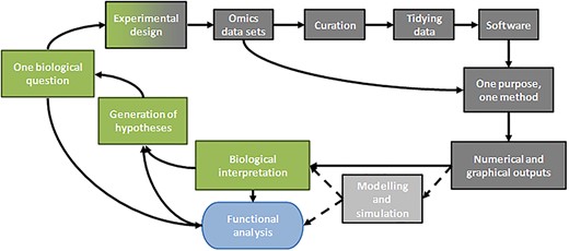Workflow for our multi-omics integrative studies. The different parts of this article are represented by grey boxes and the green boxes stand for biological concepts that close the workflow. The workflow converges towards the functional analysis required to validate the whole study (blue box). The dotted lines and the light grey box represent another way to use the numerical outputs, not described in this article.