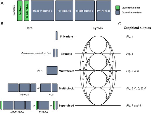 One purpose, one method concept to analyse qualitative and quantitative blocks. (A) Schematic representation of the different blocks (or datasets) co-analysed in this study. The samples are represented in rows and the variables in columns. (B) Schematic overview of the methods implemented. Methods are represented in the form of cycles within an integrated study. (C) Examples of graphical outputs detailed in the Results section. Qualitative and quantitative blocks are represented in green and grey, respectively. DA, discriminant analysis; MB, multi-blocks; PCA, principal component analysis; PLS, partial least squares.