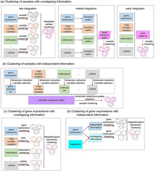 Illustration of unsupervised joint vertical integration approaches taking advantage of overlapping and independent information, respectively. CNV stands for copy number variation.