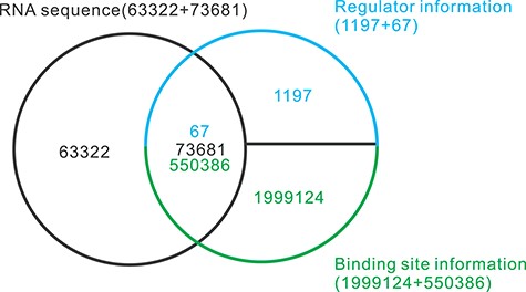 Selection of data from the AURA database. Sixty-seven RBPs, 73 681 RNA sequences and the 550 386 binding sites between them are used in the study. In addition, 18 421 RNA sequences without any binding sites are added into the benchmarking dataset as negative samples.