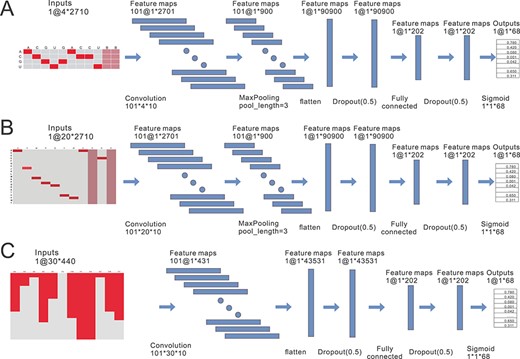 Extracting high-level features from the three views using deep CNN models. (A) The CNN model is used to extract the high-level features of the RNA sequence. It contains a convolutional layer, a pooling layer and two fully connected layers. One-hot coding encodes the RNA sequence into a (4 × 2700) matrix. Note that the size of the input layer matrix in (A) is 4 × 2710. This is because when one-hot encoding is used for conversion, we artificially add five blank cells to the head and tail of the sequence, so that the length of the feature map generated after one convolution can be exactly divided in the pooling layer. From the input layer to the convolutional layer, we use 101 convolution kernels of size 20 × 10, with a step size of 1, to obtain 101 (1 × 2701) feature maps, which are then down-sampled by the maximum pool to obtain 101 (1 × 900) feature maps. The 101 feature maps are further flattened to obtain a 90 900-dimensional feature vector. Next, in order to prevent over fitting, a dropout operation is performed, followed by the first fully connected operation to compress the feature vectors obtained from the previous layer into 202-dimensional feature vectors. Finally, the output layer is a 68-dimensional fully connected layer activated by the sigmoid function. (B) The CNN model is used to extract the high-level features for the amino acid sequence. As in (A), the model is also composed of four network layers, a convolutional layer, a pooling layer and two full connected layers. (C) Similarly, CNN model is used for deep feature extraction of the dipeptide component. Since the size of the initial feature matrix of the dipeptide component is 30 × 440, which is relatively small, the max-pooling layer is abandoned in the CNN model.