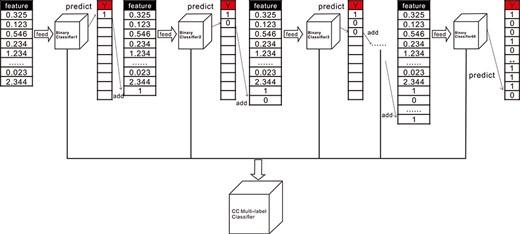 The principle of CC multi-label classifier. After each round of classifier training, the predicted label value is added as a new feature for the next round of training, which is how CC multi-label classifier learns the association between the labels.