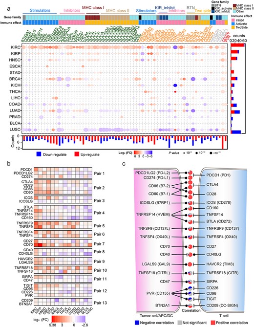 Differential expression of ICGs and their internal correlation. (A) Differential expression of ICGs constructed by the Wilcoxon signed-rank test in 14 TCGA cancers with tumor-normal paired samples, filtered by FC (>1.5) and FDR (<0.05). The color of the gene symbol of ICGs indicates their expression patterns: TCICGs (red), TIC-ICGs (yellow) and IC-ICGs (green). The color bars on the gene symbol represent the functional classes (gene families or immune effects) of ICGs. The annotation bar on the bottom and right side of the dot plot represents the statistics of DE ICGs. The color and size of the points indicate the DE trend (red: upregulated; blue: downregulated) and FDR significance, respectively. (B) DE profiles of ICGs from 13 ligand-receptor pairs. (C) The relationship between ligand and receptor of ICGs and Spearman’s correlation between the expression level of the ligand-receptor pairs in all CTs, statistically displayed in a pie plot. An FDR < 0.05 was considered as statistical significance. The Pie between each ligand-receptor pair indicates the correlation relationship between corresponding pairs in 33 CTs from TCGA.