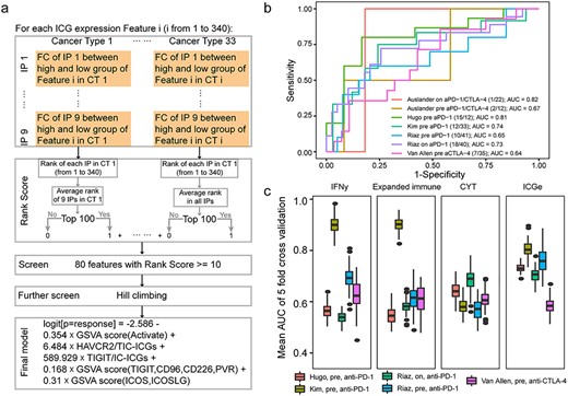 The procedures of ICG feature selection and the performance of ICGe model for the prediction of ICB response. (A) Ranking algorithms for ICG feature selection in 33 TCGA CTs. ICG features consistently associated with nine IP scores in more than 10 CTs were selected as candidate features. Further screening using the hill climbing algorithm was performed to build a prediction model containing five features, the GSVA score of activated ICGs and Pair 13 (CD209, BTN2A1) and Pair 3 (ICOS, ICOSLG) and the expression fraction of HAVCR2 against TIC-ICGs and TIGIT against IC-ICGs. (B) The performance of the ICGe model on validation datasets. Legends show the basic information of each dataset, n/m indicates the response number/non-response number of each dataset. (C) A comparison of ICGe with other published methods using the mean AUC, which is defined by the average AUC of 5-fold cross-validation and 100 repetitions. Each fold randomly selected 60% samples as the training set to train the model. The remaining samples were used as a test dataset to assess the AUC. ICGe was not trained further.