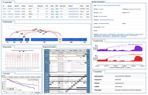 The detailed information of search results. (A) The search result of TUG1. The detail information was accessed by clicking on the ‘ID’ 99 309, including (B) basic information, (C) splice graph, (D) the distribution of PSI values across multiple cancers or tissues, (E) sashimi plot, (F) manual annotation and (G) genome browser.