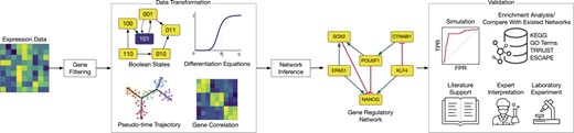 The overall workflow of GRN inference methods. The methods start with filtering genes based on their variability or a priori knowledge. They next construct intermediate data depending on the modeling and data assumption and then infer the network. The output of these methods can be either co-expression networks which are undirected from top selected connections or directed networks with regulatory relationships between genes. To evaluate the constructed networks, each method adopts different validation techniques, including using simulation, enrichment analysis, literature support, and expert interpretation and conducting additional laboratory experiments.