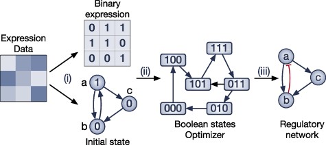 The overall workflow of methods using the boolean model. (i) These methods first binarize the gene expression data and then generate the initial boolean states. (ii) The methods optimize the states of the model with respect to the binary values. (iii) The methods output the GRN with activation and repression edges or a set of boolean functions.