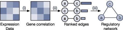 The overall workflow of methods using gene expression correlation. (i) The methods first initialize the weights of the edges by calculating the expression correlation for each gene pair. (ii) The methods perform a hypothesis testing to estimate the significance of each edge and then remove edges that are considered insignificant using a predefined significance threshold. (iii) The methods output the largest connected component.