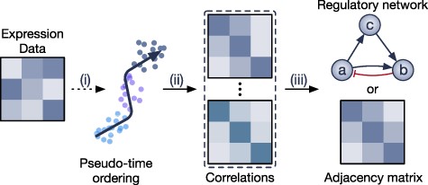 The overall workflow of methods that calculate genes correlation based on pseudo-time ordering. (i) The methods either infer the pseudo-temporal ordering of the cells or require users to provide the time ordering. (ii) The methods divide the data into smaller time windows and then calculate the gene correlation for each time window. (iii) The methods then aggregate (ensemble strategy) multiple correlation matrices into one single adjacency matrix that represents the GRN.