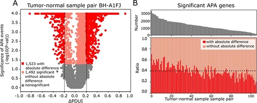 Collective impact of strong and significant APA events. A. Statistical significance of APA genes in a breast tumor-normal sample pair (TCGA-BH-A1FJ) with their ∆PDUI (percentage of PDUI) values (tumor-normal). Since PDUI represents the ratio of isoforms with dUTR, negative ∆PDUI value represent 3′US target genes and positive ∆PDUI value 3′UL genes. Strong APA target genes are in red, significant but not strong ones in pink and not significant ones in gray. B. For 106 breast tumor-normal sample pairs sorted by the number of significant APA target sites, upper panel shows the total number of significant APA genes and the lower panel shows the ratio of the APA genes by whether it is significant but not strong (orange) or strong (red). Black dotted line represents the average ratio of strong APA genes.