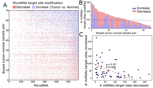Tumor-specific APA-derived miRNA target site changes. A. The heatmap shows tumor-normal samples (row) where the total number of target sites for each miRNA (column) is increased (blue) or decreased (red) due to APA. Not significant changes or no changes are not colored. Samples are sorted by the number of increased miRNA target site modification. B. The total number of miRNA target site changes, either increased (blue) or decreased (red) due to APA, in breast tumor-normal samples pair sorted by the target site number changes per sample pair. C. Number of miRNAs of which target sites are increased (y-axis) or decreased (x-axis) in each tumor-normal sample. The red dotted line represents linear least-squares regression.