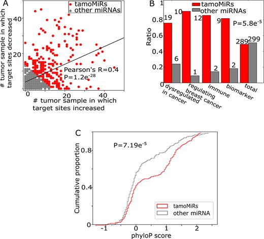 APA modifies miRNA target sites associated with cancer. A. The number of tumor-normal samples between which target sites for each miRNA are increased (x-axis) or decreased (y-axis). For further analyses, we dichotomize miRNAs by the amount of target site changes into tamo- (red) and the other (gray) miRNAs (Supplementary Table 1). B. Number of cancer-related miRNAs in tamo- (red) and the other (gray) miRNAs. C. The distribution of phyloP conservation score for 202 tamo- and 191 the other miRNAs.