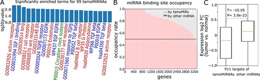 TamoMiRNAs effectively regulate biological processes. A. Cancer-associated pathways enriched for 99 tamoMiRNAs with their enrichment P-values (red for ‘signaling’, blue for ‘GF’ and green for ‘circadian’). B. Number of target sites for tamoMiRs and the other miRNAs in the genes with more than five target sites. C. Expression fold change (log2 tumor versus normal) of 911 genes that are targets of tamoMiRs and other miRNAs.
