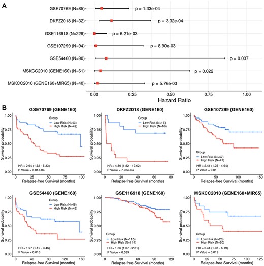 Cox Proportional-Hazards (CoxPH) and Kaplan–Meier (KM) survival analyses of relapse-free survival (RFS) using the GENE160 and GENE160 + MIR65 panels in six independent validation datasets. (A) Forest plot visualizing the hazard ratio (HR), 95% confidence intervals and P value of CoxPH survival analysis. (B) KM curves visualizing the survival probabilities over time for high and low risk groups classified based on the median predicted RFS scores in each cohort.