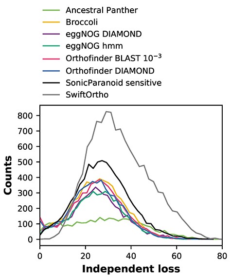 Loss distributions of LECA OGs estimated from different orthology inference methods. Except for Ancestral Panther, SonicParanoid and SwiftOrtho, the loss distributions show similar patterns. For eggNOG hmm versus Orthofinder BLAST/Broccoli and eggNOG DIAMOND versus Orthofinder DIAMOND, there is no significant difference between distributions (Kruskal–Wallis H test P-value >0.001).